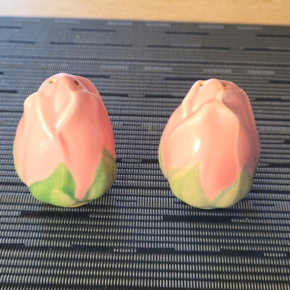 Franciscan Desert Rose Salt & Pepper Set